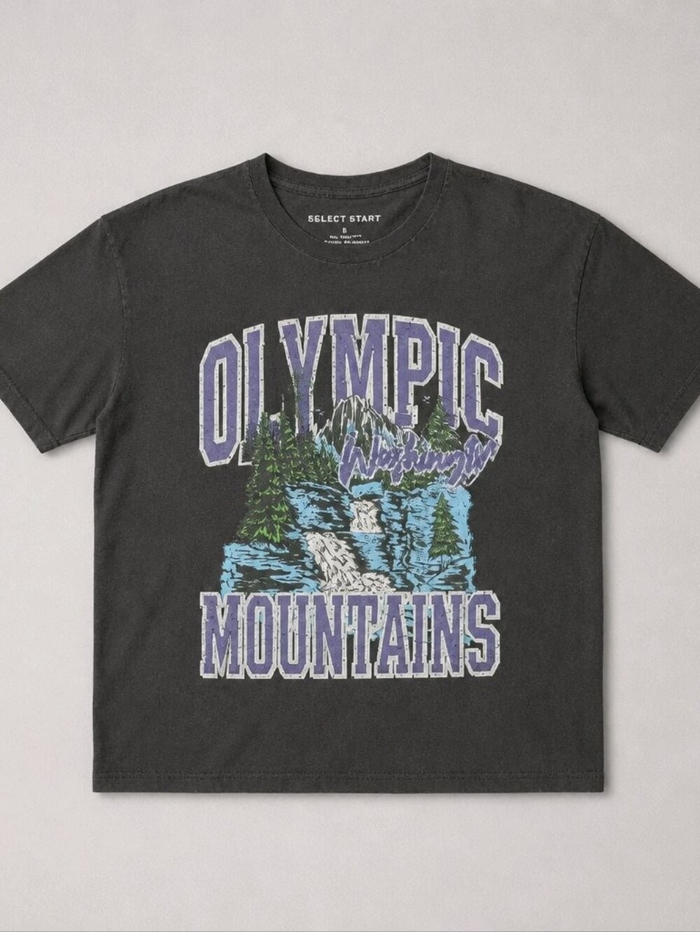 Select Start Dk Gray Tee with Purple & Blue Olympic Mountains Graphic Mens Large